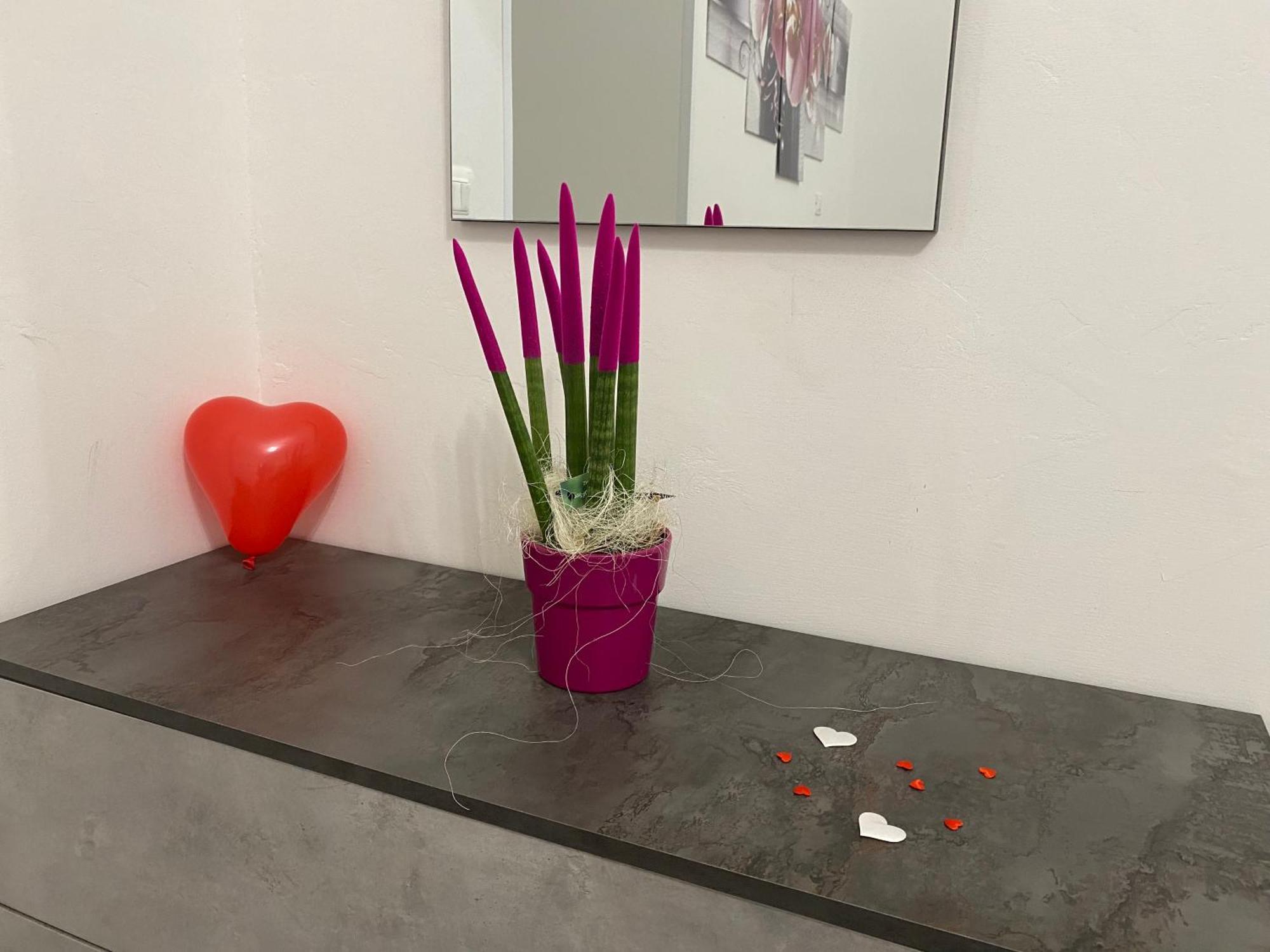 Le Regioni Del Cuore Vieste Bagian luar foto